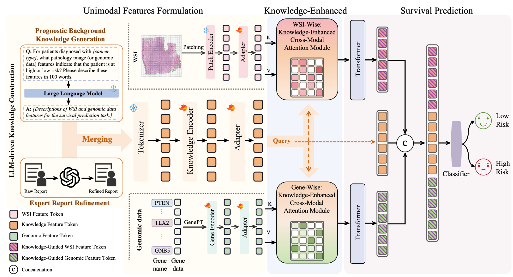 LLM-driven Knowledge Enhancement for Multimodal Cancer Survival Prediction