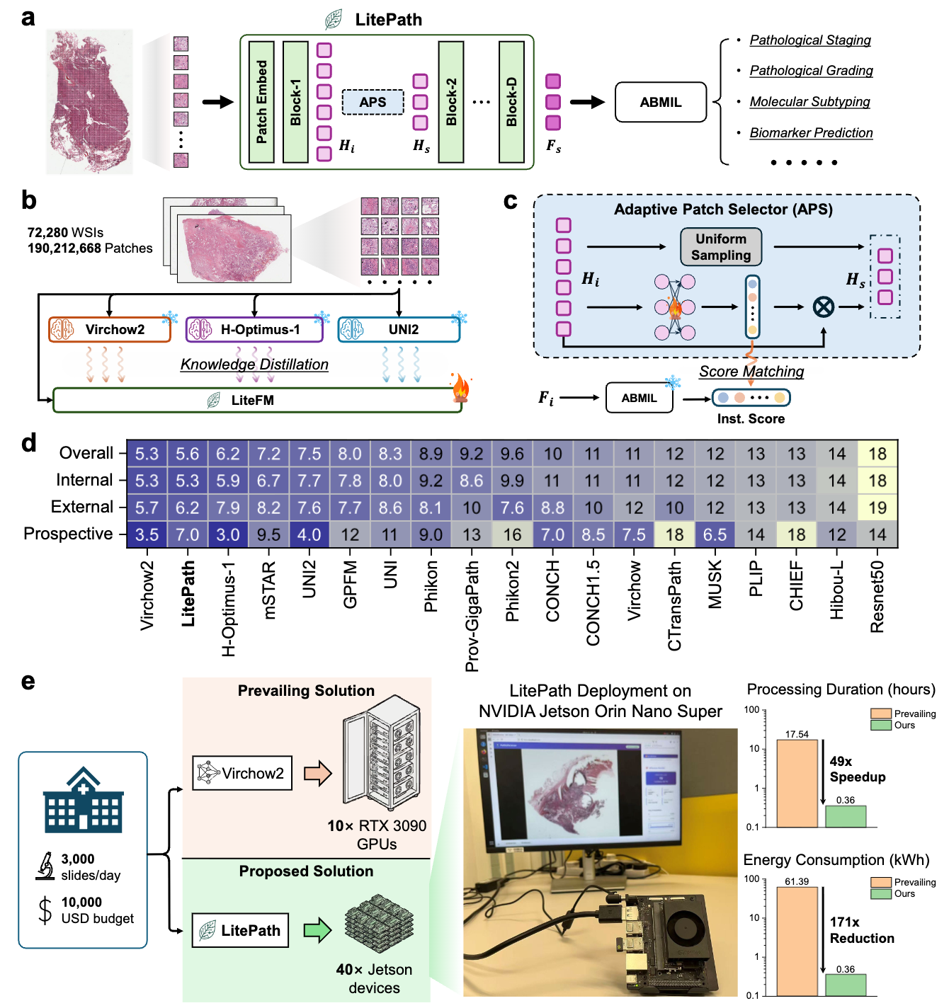 A Deployment-Friendly Foundational Framework for Efficient Computational Pathology
