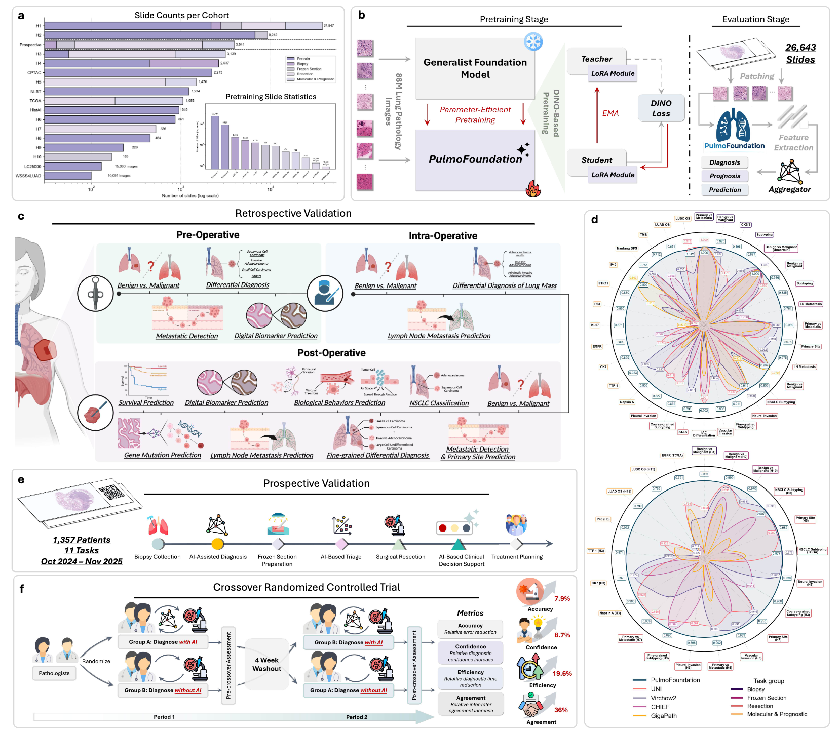 A Clinically Validated Foundation Model for Comprehensive Lung Pathology Interpretation