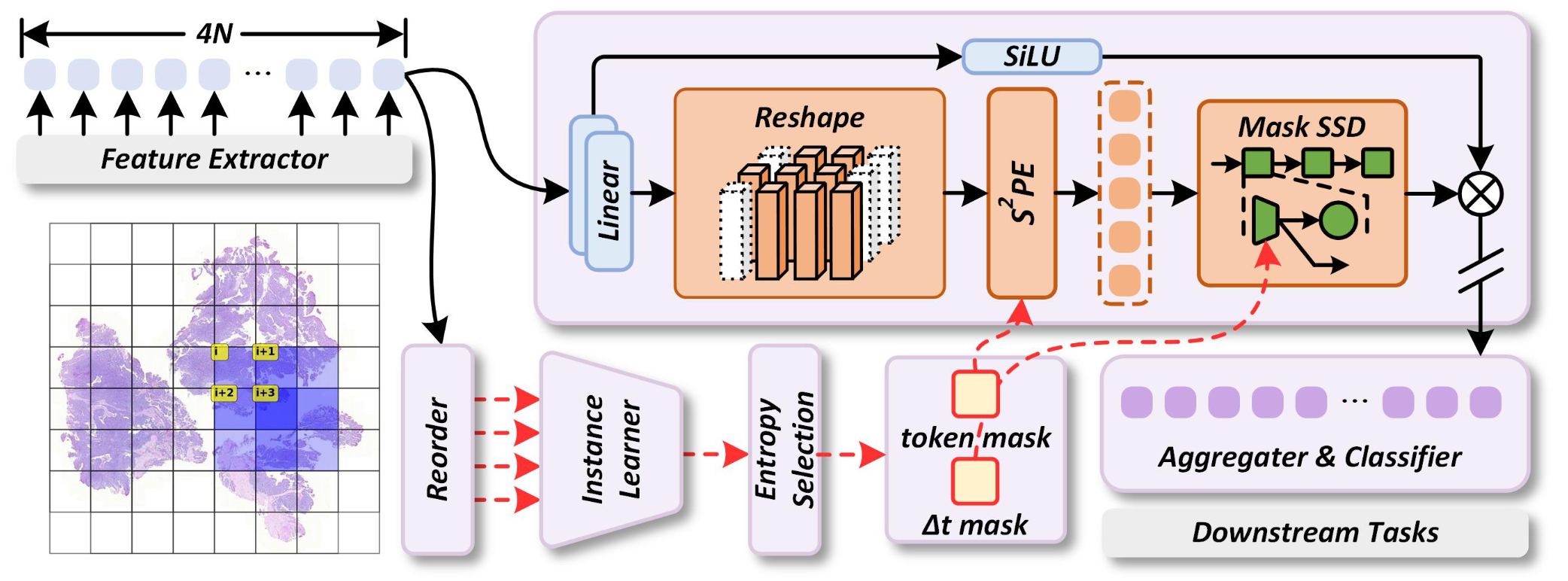 MambaMIL+: Modeling Long-Term Contextual Patterns for Gigapixel Whole Slide Image